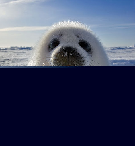 Kimberly Farrar Photo 14