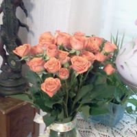 Verna Walker Photo 16