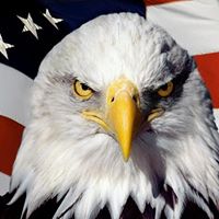 Dave Davenport Photo 18