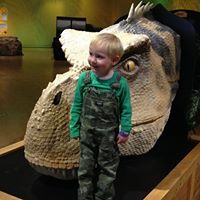 Douglas Stine Photo 11