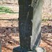 William Stepp Photo 9