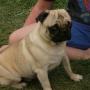 Lisa Wolcott Photo 15