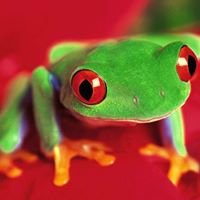 Cheryl Mccain Photo 27