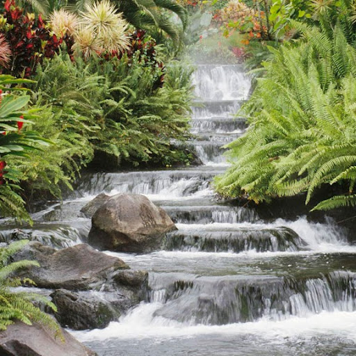 Tracy Bauer Photo 19