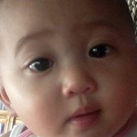 Willie Gomez Photo 18