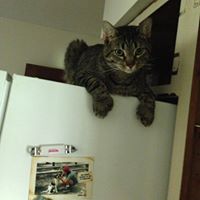 Connie Shaw Photo 16 Connie Shaw Photo 16