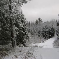 Sandra Pettit Photo 14