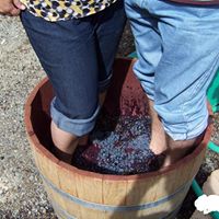 Tonya Cunningham Photo 20