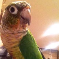 Debra Garrison Photo 7