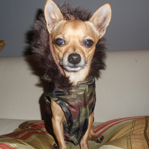 Mateo Torres Photo 8