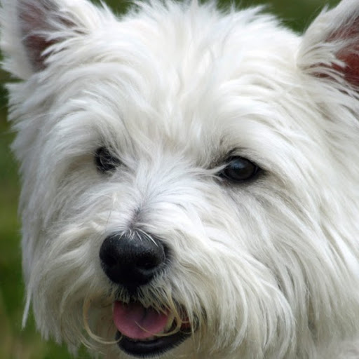 Philip Harvey Photo 31