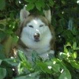 John Krantz Photo 30 John Krantz Photo 30