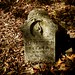 William Gallaher Photo 20