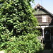 Elizabeth Emery Photo 11