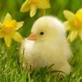 Tracey Ward Photo 17