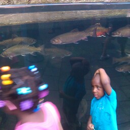 Julia Hawkins Photo 36