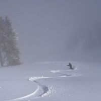 Stephen Spaulding Photo 8