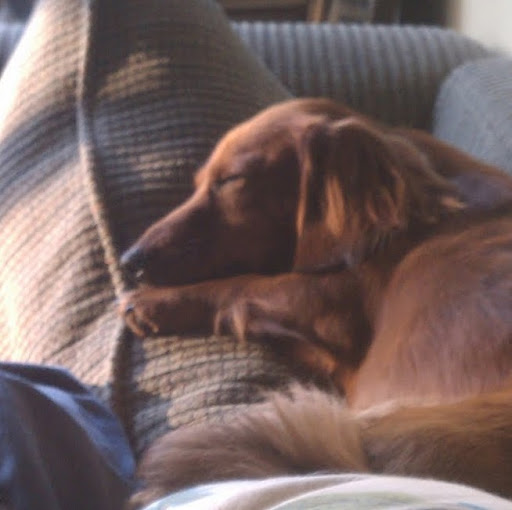 Cindy Bradley Photo 33