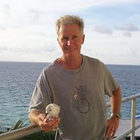David Hayes Photo 34