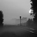 Dawn Mayo Photo 10