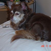 Richard Seligman Photo 12