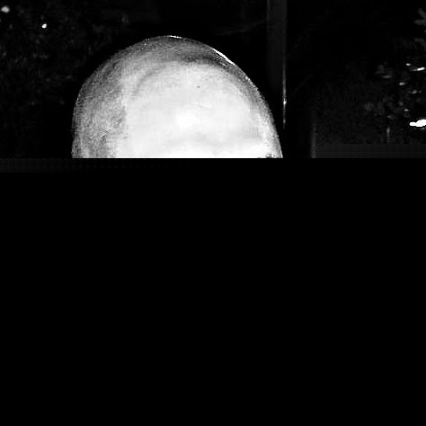 Cliff Curtis Photo 34