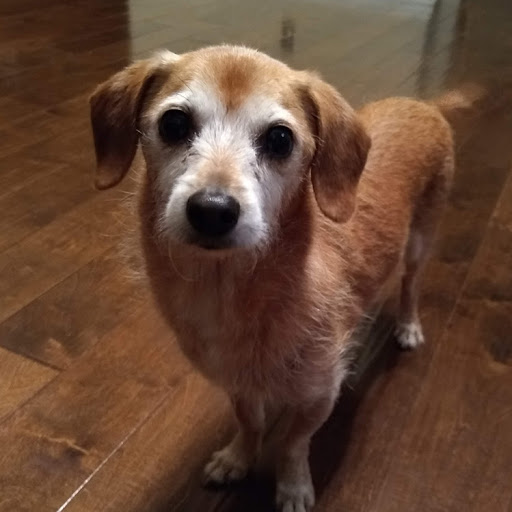 Aaron Maynard Photo 8