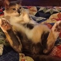 Michael Truitt Photo 12