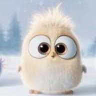 Janice Mcdonald Photo 20