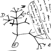 Michael Gragg Photo 1