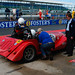 Mark Shears Photo 8