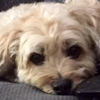 Carole Gilbert Photo 8