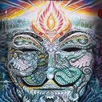 Jerry Dotson Photo 23