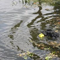 Rebecca Gunter Photo 24