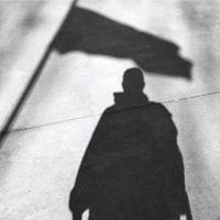 Steve Sheppard Photo 17