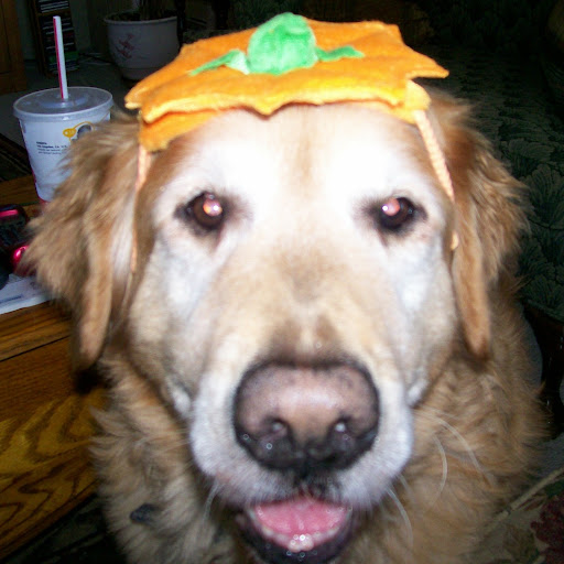 Janice Hayden Photo 5