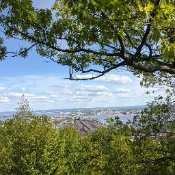 Charles Mills Photo 45