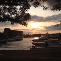 Nancy Abercrombie Photo 15