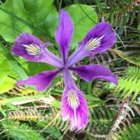 Beth Schmitz Photo 28