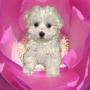 Karen Brunner Photo 11
