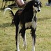Deborah Ratliff Photo 32