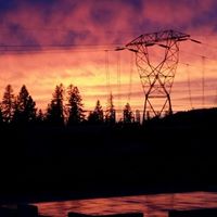 Brenda Houston Photo 42