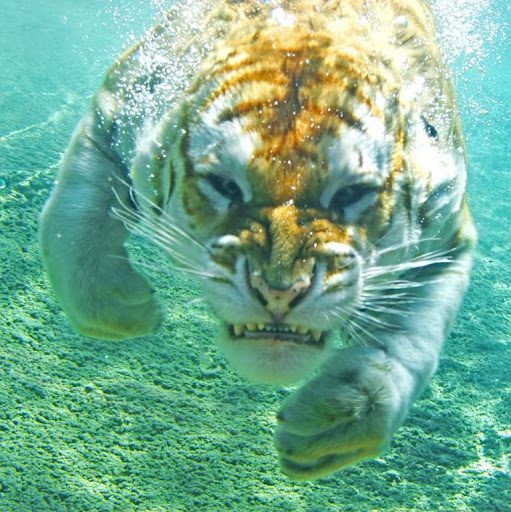 Michael Florence Photo 28