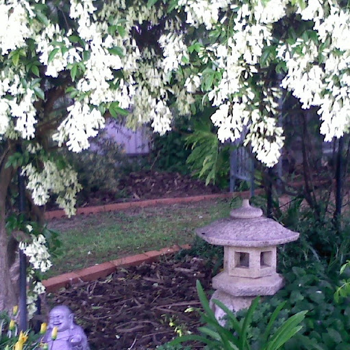 Alice Rodgers Photo 6