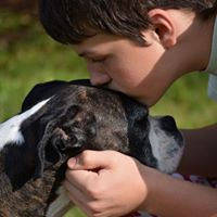 Michelle Shea Photo 22