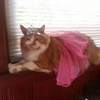 Rebecca Starr Photo 10