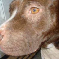 Hazel Saenz Photo 13