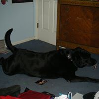 Chester Fisher Photo 19