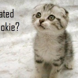 Connie Craig Photo 10