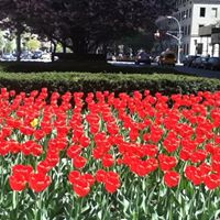 Robert Griggs Photo 25